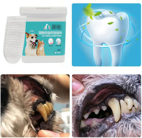 🐕Kup 2 Zdobądź 1 darmowe chusteczki do czyszczenia dentystycznego zwierząt domowych