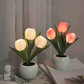 🌷💡 LED Tulipán Asztali Éjszakai Lámpa