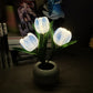 🌷💡 LED Tulipán Asztali Éjszakai Lámpa