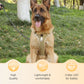 🐕💡 LED-es Kutyahám Pórázzal és Nyakörvvel