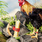 🐔🔒 Állítható Baromfi Lábkötők