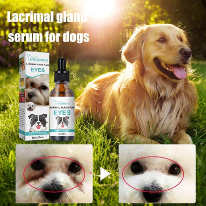 🌿 Szemcseppek kutyák és macskák számára🐱🐶