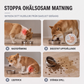 🐕 Állítható magasságú állatetető – Cicáktól nagy kutyákig