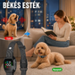 Intelligens ugatásgátló nyakörv kutyáknak