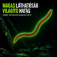 🐟1 +1 Ingyen🎏Bionikus Földigiliszta Utánzatú Lágycsali - Horgász puha csali
