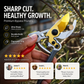 🌿✂️ Metszen gyorsan és tisztán! SK5 metszőolló – Ideális gallyakhoz, sövényekhez és kerti munkákhoz ✨